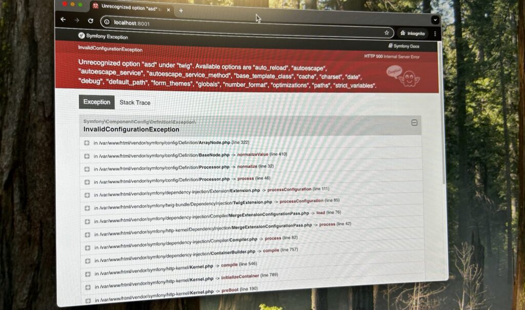 Das Bild zeigt eine Fehlermeldung in einem Webbrowser
