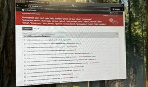 Das Bild zeigt eine Fehlermeldung in einem Webbrowser